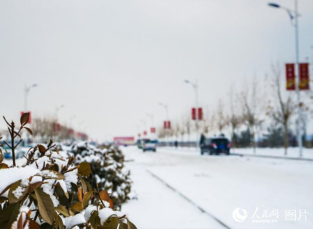 疑是林花昨夜開！雄安迎來2018年第一場雪