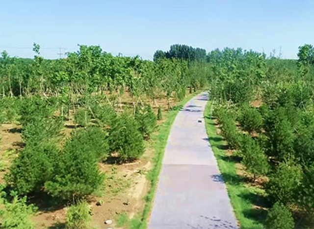 雄安新區(qū)2018年秋季植樹(shù)造林開(kāi)工 規(guī)劃林地面積6.3萬(wàn)畝