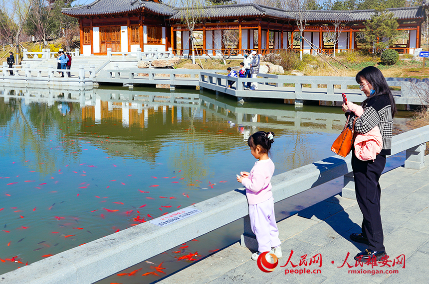 雄安悅容公園一角，不少家長帶著孩子前來游玩。人民網?宋燁文攝