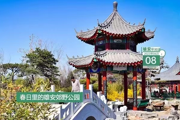                         ●雄安新區黨工委2023年第一輪巡察完成進駐。●雄忻高鐵雄保段計到明年實現大橋主體全部完工。●雄安公安政務服務事項可“一站式辦結”。●創新公章刻制備案管理，雄安出臺新措施。???            