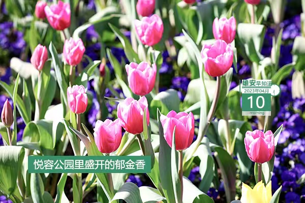             ●雄安新區管委會與中國兒童中心簽署戰略合作協議。●河北新官宣：加快建設雄安新區全球創新高地。●雄安自助辦系統投用，可辦53項本地事項。●雄安容西片區有了“健康小屋”。???            