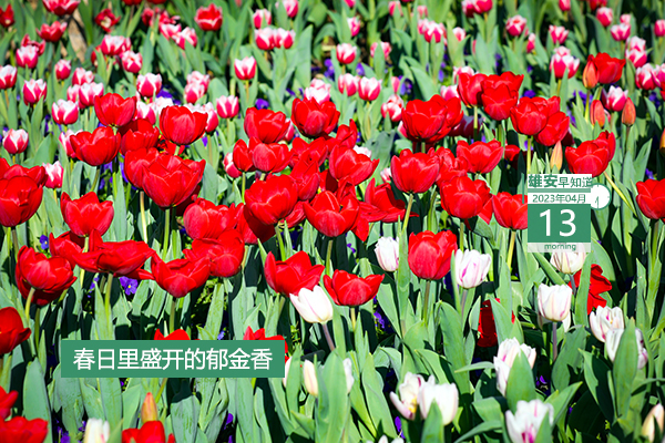             ●“雄創計劃”來了，最高可得600萬啟動資金。●世界首創！新型地熱能發電系統在雄安試車。●白洋淀“水上巴士”預計本月底運行。●雄安一企業招聘24人，報名截至5月20日。???            