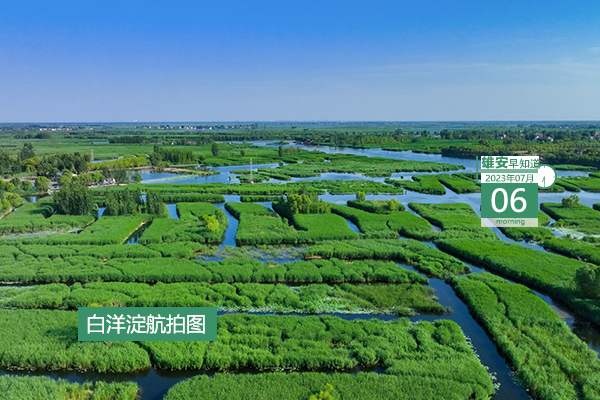                         ●深圳：不斷加強與雄安建設的對接聯動，深化各領域深層次務實合作。●雄安新區職工住房公積金繳存基數有調整。●重點解決社區內問題，雄安容東探索建立“一呼聯應”機制。●雄安新區中考成績一分一檔統計表公布。 