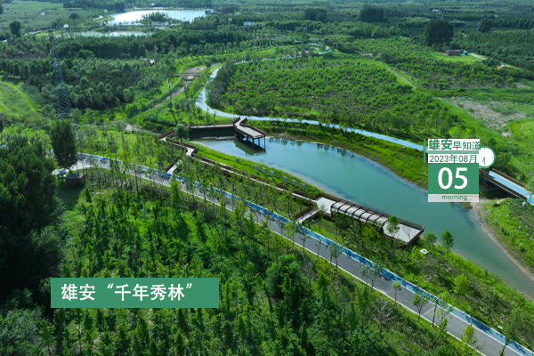                         ●張國華：落實落細防汛和安全生產各項工作任務。●航天科技集團將加快相關產業項目落地，推動更多創新要素資源向雄安集聚。●雄安新區技能人才統計工作全面開啟。●轉擴！雄安人力資源服務有限公司面向社會公開招聘18人。 