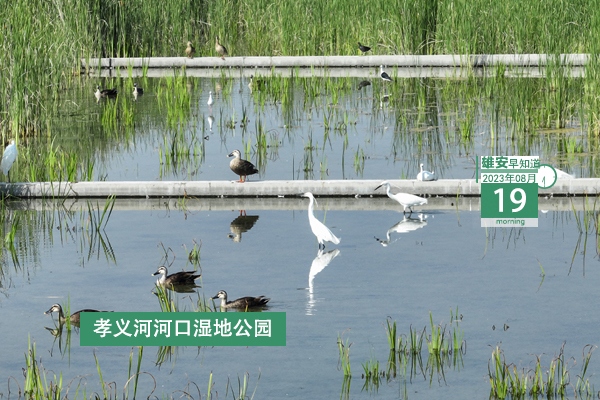                         ●院士專家齊聚雄安，就生物醫藥產業發展做研討。●雄安印發新方案，聚焦解決企業問題癥結。●雄安擬推薦省見義勇為英雄（群體）候選人正在公示。●雄縣事業單位招聘人員筆試時間確定。 