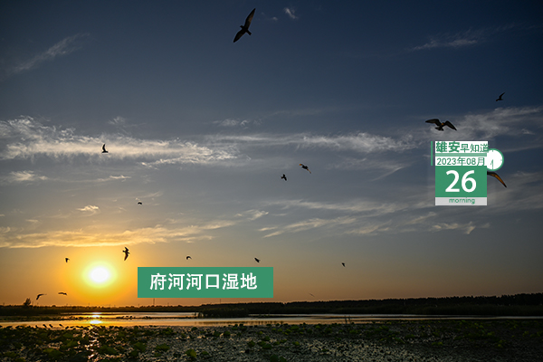                         ●張國華：加快打造高水平城市大腦，努力讓城市更聰明、治理更精細。●雄安實現醫保權益實時到賬。●雄安新區：藍綠交織，水城一體，優美畫卷徐徐鋪展。●雄安新選聘骨干教師人員正在公示→  