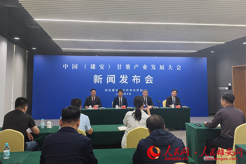 中國（雄安）甘薯產業發展大會新聞發布會現場。王紅攝