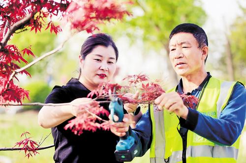 4月19日，雄安集團(tuán)生態(tài)建設(shè)投資有限公司副總經(jīng)理、園林事業(yè)部部長(zhǎng)武芳芳（左）在雄安新區(qū)悅?cè)莨珗@指導(dǎo)園林工人為樹木進(jìn)行剪枝。